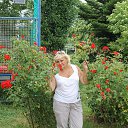 ���� �����, �������, 54 ���� - ��������� 4 ������ 2013 � ������ ���� ����������