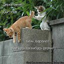 ���� ������, ������������, 51 ��� - ��������� 13 ������ 2010 � ������ ������� �������� �� ����..�