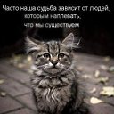 ���� Oldman, ������������ - ��������� 1 ������� 2009 � ������ �http://kotomatrix.ru - ���� �������� � ������