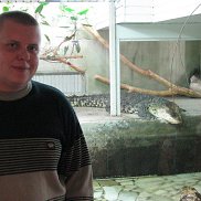 , 40 , 