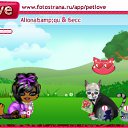  , , 39  -  6  2011   PetLove