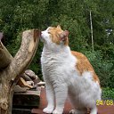 ���� �����, �����-��������� - ��������� 11 ���� 2011 � ������ ���� ���