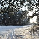 ���� ������, ��������� - ��������� 31 ������ 2010 � ������ �������� �������