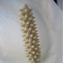  , -, 53  -  24  2011    .