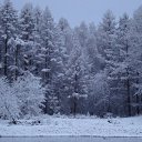 ���� �����, �����-���������, 49 ��� - ��������� 23 �������� 2011 � ������ ��������-����