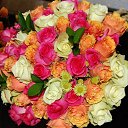 ���� Jamilya, ������� - ��������� 16 ������ 2013 � ������ ���� ����������