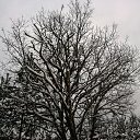 ���� �����, ������, 43 ���� - ��������� 27 ������� 2013 � ������ ���� ����������