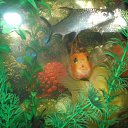 ���� ����, ������ - ��������� 22 ������� 2012 � ������ ���� ��������� �� ���������� �����!!!�