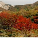 Multihued Kuril mountains   