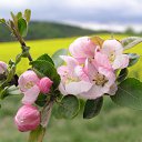 ���� ����� - ���������� ��������!!!, �����������, 56 ��� - ��������� 15 ������ 2010 � ������ �������� ��� ���� :-)))�