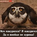���� ������� �����, ���, 59 ��� - ��������� 11 ������� 2009 � ������ �������