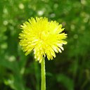 ���� Feruza, ������ - ��������� 16 ������ 2011 � ������ ���� ����������