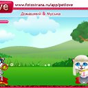  , , 35  -  29  2010   PetLove