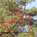 ���� �����, ������, 39 ��� - ��������� 11 �������� 2009 � ������ �� ���������� ��������...�