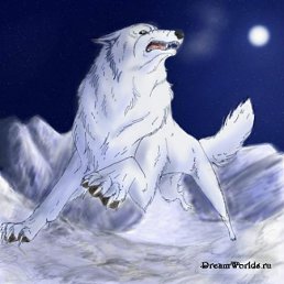 ���� ����, ������, 43 ���� - ��������� 23 ������ 2011