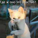 ���� ******Elena, ������, 45 ��� - ��������� 23 ������ 2012 � ������ �������