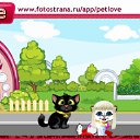  , , 33  -  19  2010   PetLove