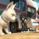 ���� "@����", �����-���������, 25 ��� - ��������� 2 ���� 2010 � ������ �����һ