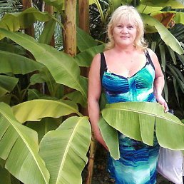 ������� ��������, ����, 73 ����