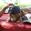  , , 50  -  1  2012   2012