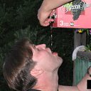 ���� ���, ������, 58 ��� - ��������� 3 ������ 2012 � ������ ���� ����������