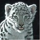 ���� ������, ����������, 50 ��� - ��������� 20 �������� 2012 � ������ �������