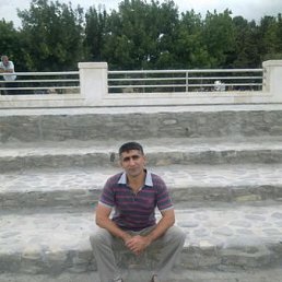 Vahid, , 49 