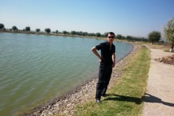 ����, ���������, 42 ����