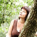 ���� ��������, ������, 41 ��� - ��������� 31 ����� 2013 � ������ ���� ����������