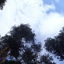 ���� �����, ������������ - ��������� 23 �������� 2012 � ������ ����������