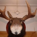 ���� �����, ������ - ��������� 17 ������� 2011 � ������ �������