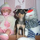  ,  , 56  -  28  2011