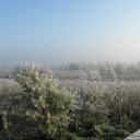 ���� �������, �������, 57 ��� - ��������� 16 ������ 2012 � ������ ����� ������� �����