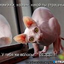  Vi,  -  4  2011   