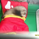 ���� ���, ������������, 47 ��� - ��������� 7 ������� 2012