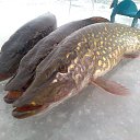 ���� ���������- ���� �������� !!, ������ - ��������� 9 ������� 2013 � ������ �9 ������� 2013� !!!!�