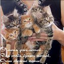 ���� ��������, ������ - ��������� 27 �������� 2010 � ������ ���������!!!�