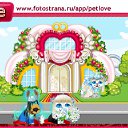  , , 36  -  7  2011   PetLove
