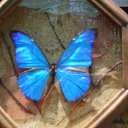  Infinitty, , 27  -  29  2011    