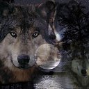 ���� �����, ������, 52 ���� - ��������� 12 ������� 2012 � ������ �������