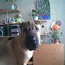 ���� ����, �������, 44 ���� - ��������� 21 ������ 2011 � ������ ���� ��������