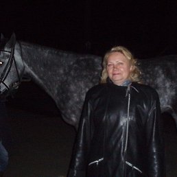 ����, ������, 66 ���