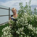 ���� �����, ������� - ��������� 6 ������� 2012 � ������ �������� 2012.08�