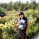 ���� ��������, ����������� - ��������� 31 ��� 2011 � ������ ���� ����������