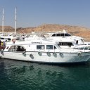 ���� �����, �����������, 48 ��� - ��������� 5 ������ 2012 � ������ �������