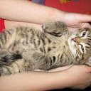 ���� ��������, ����� - ��������� 24 ��� 2010 � ������ ���� ��������