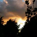  , , 66  -  6  2011   ,