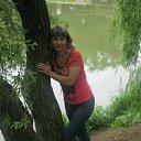 ���� ������, ���������, 53 ���� - ��������� 2 ��� 2013 � ������ ���� ����������