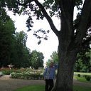 ���� �����, ������, 62 ���� - ��������� 13 ������� 2009 � ������ ���������