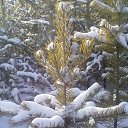 ���� ����������, �����-���������, 45 ��� - ��������� 17 ������ 2013 � ������ ���� ����������